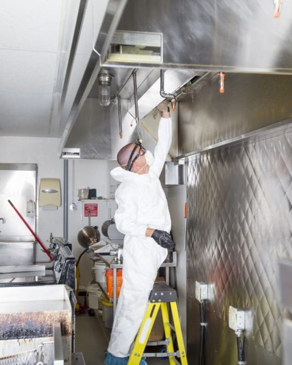 food-cleaning-82321-C-846x846